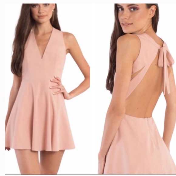 NWT Tobi Andie Blush Pink Pastel Peach Mini Skater Open Cutout Back Dress Large - Picture 1 of 15